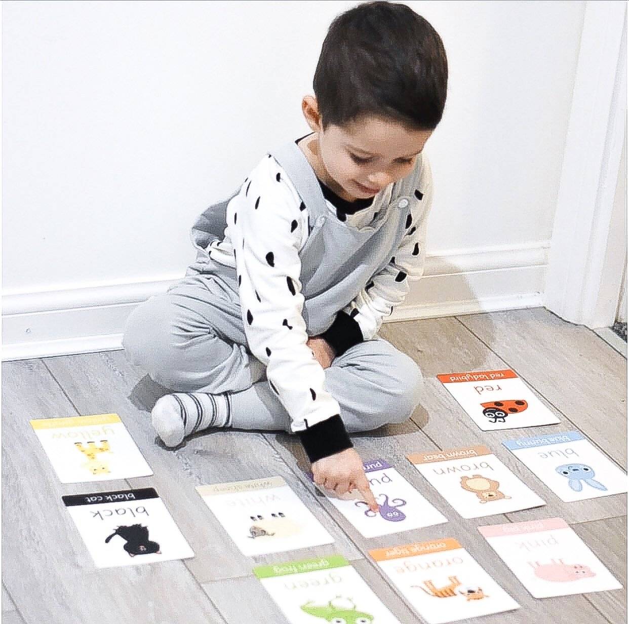 Animal Colour Flashcards | Digital Download-Little Boo Learning-Colours,Colours Flashcards,Flashcards,Montessori,normal