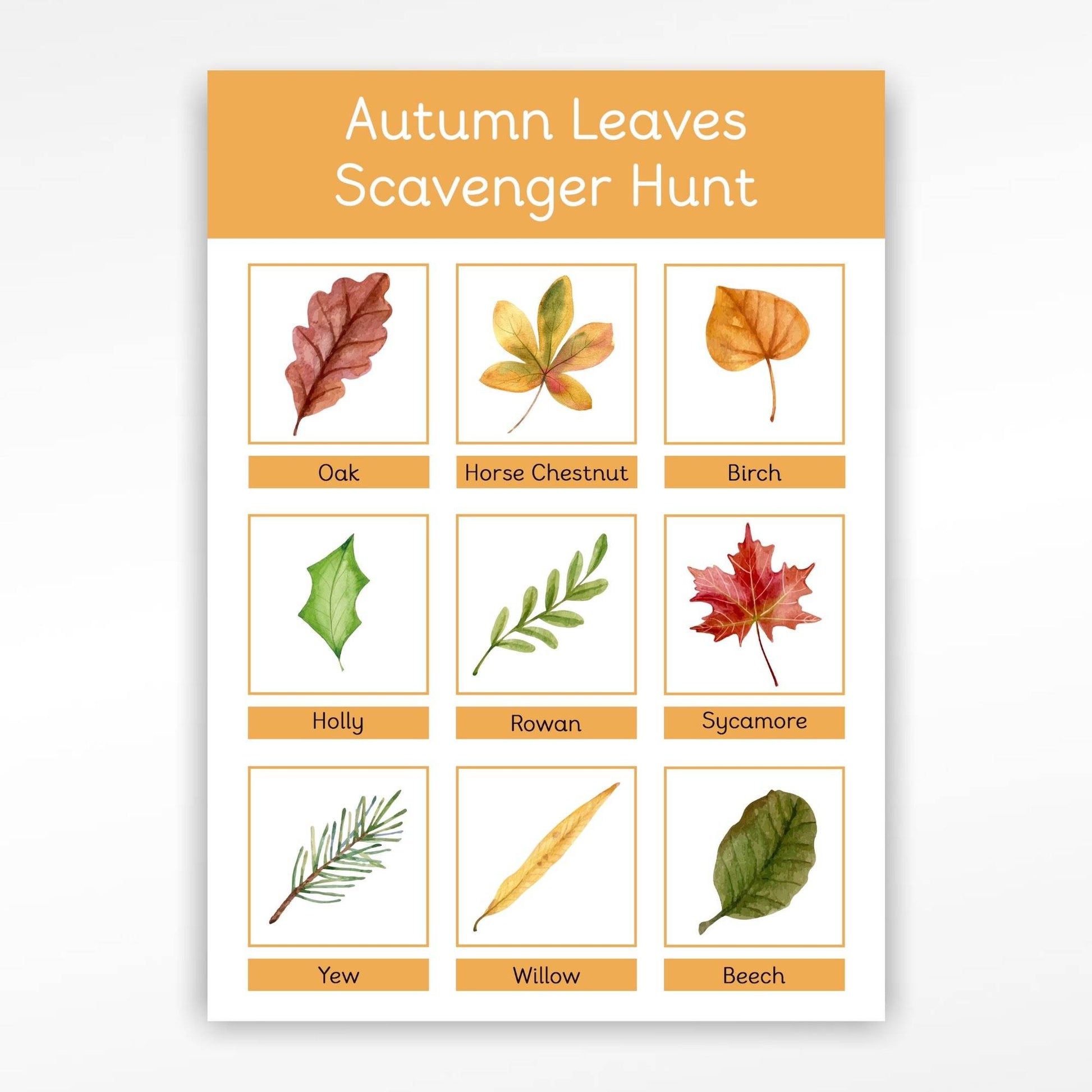 2 Pack Autumn Leaves Scavenger Hunt Mat & Find and Count Learning Mat-Little Boo Learning-normal