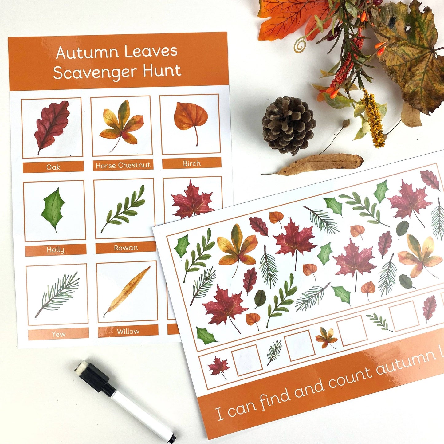 2 Pack Autumn Leaves Scavenger Hunt Mat & Find and Count Learning Mat-Little Boo Learning-normal