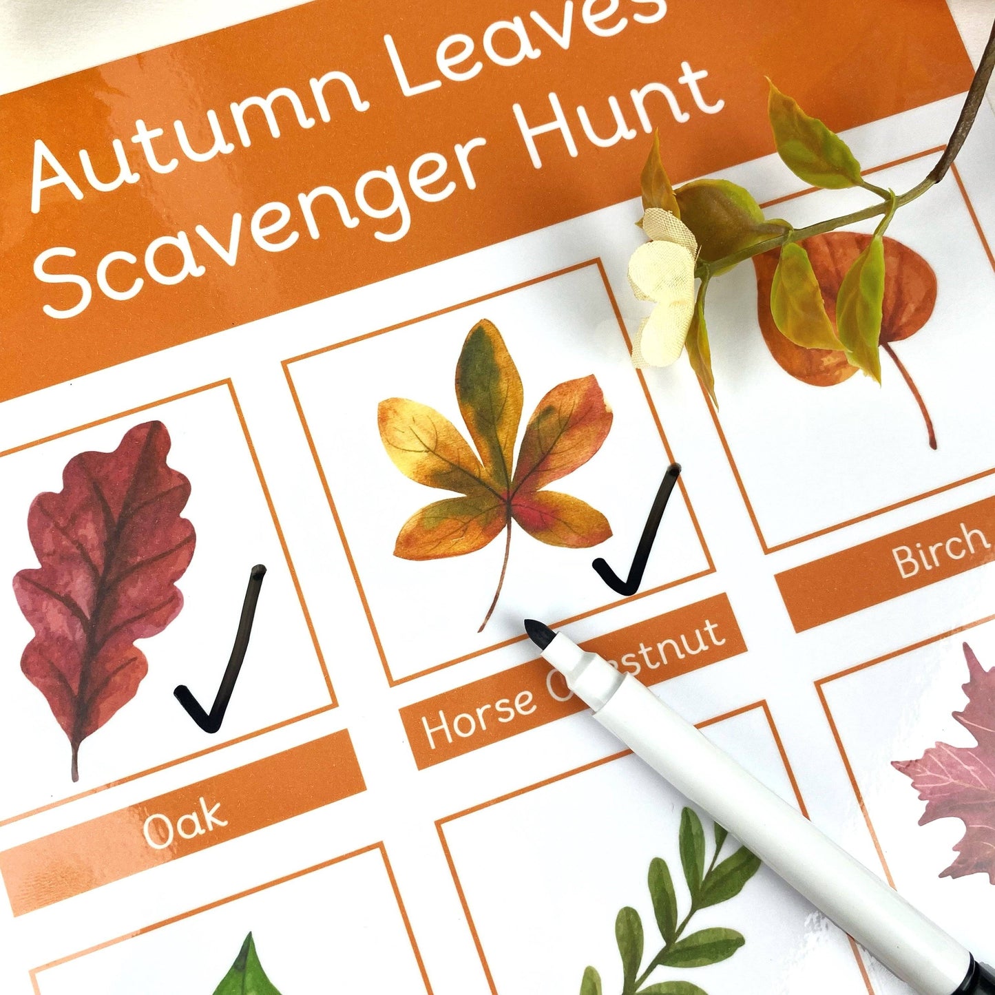 2 Pack Autumn Leaves Scavenger Hunt Mat & Find and Count Learning Mat-Little Boo Learning-normal