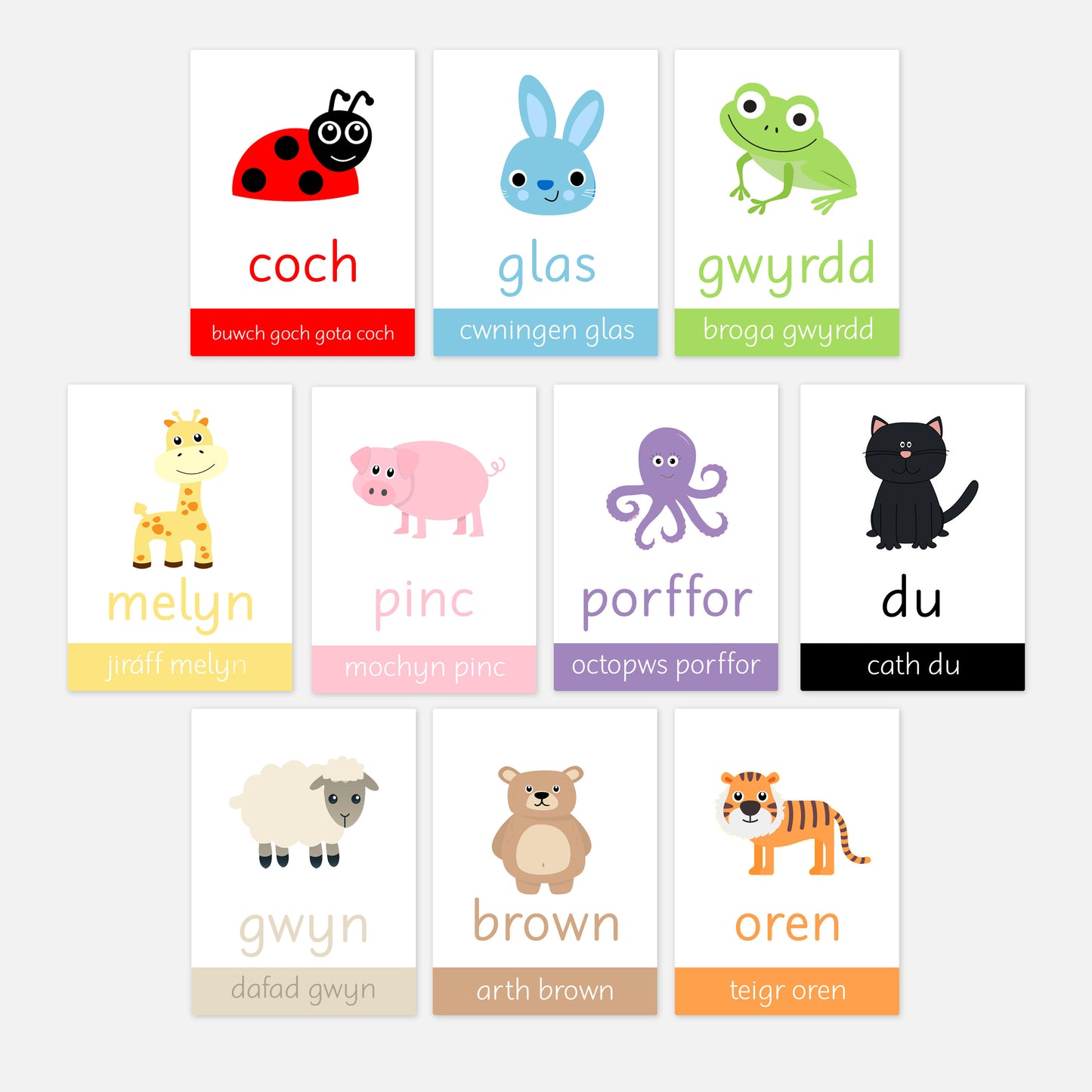 Animal Colours Toddler Flashcards (Welsh)-Little Boo Learning-A6,black,blue,Colours,Flashcards,green,normal,pink,purple,red,white,yellow