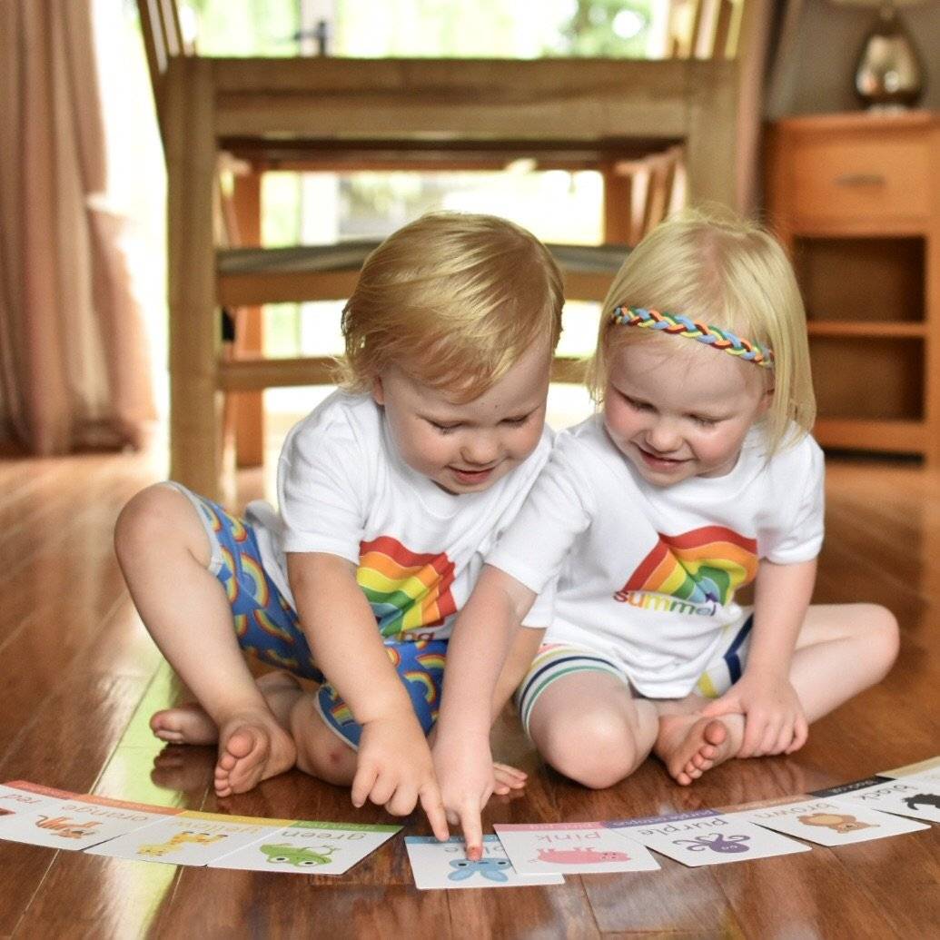 Animal Colours Toddler Flashcards-Little Boo Learning-A6,black,blue,Colours,Flashcards,green,normal,pink,purple,red,white,yellow