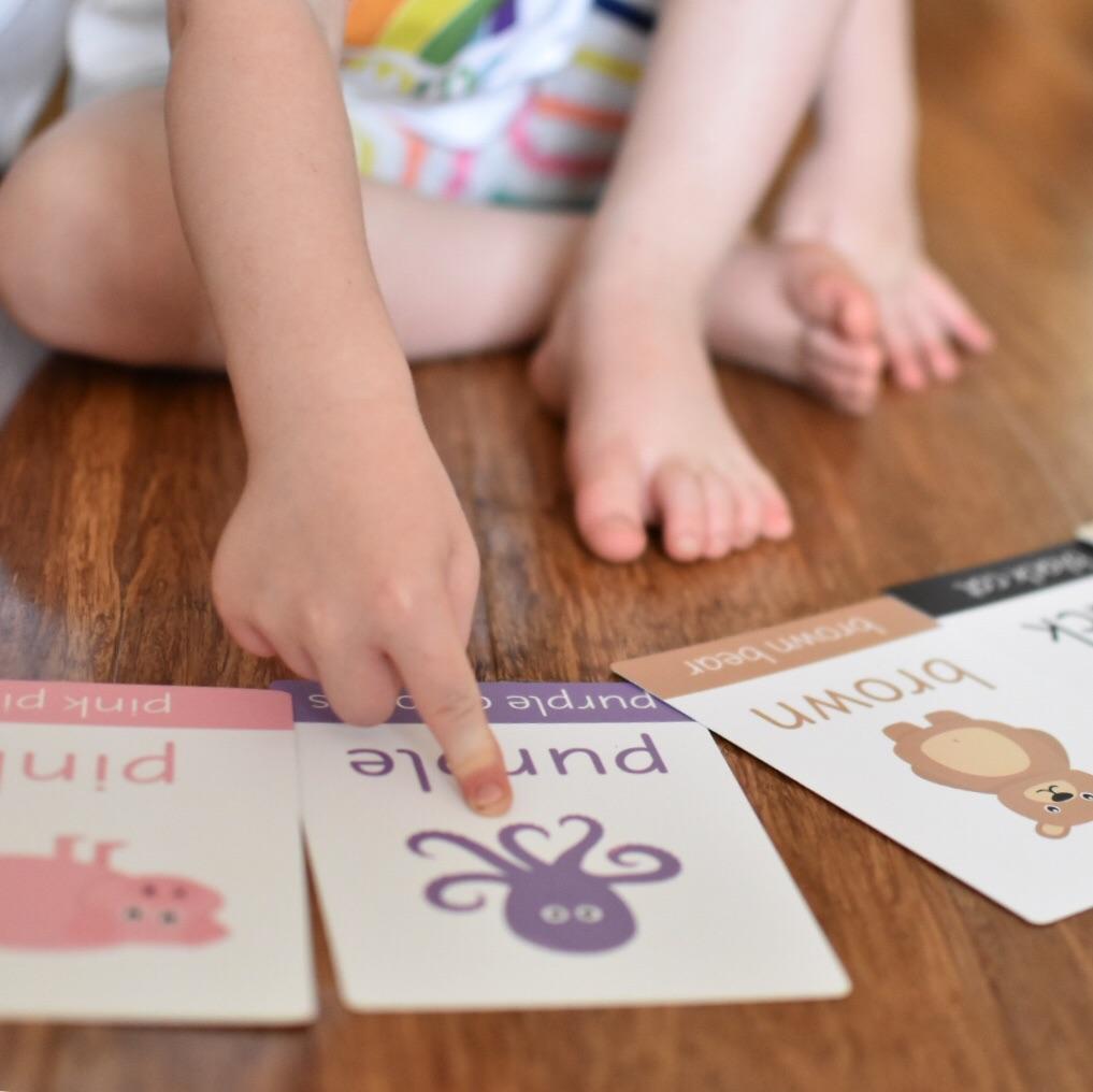 Animal Colour Flashcards | Digital Download-Little Boo Learning-Colours,Colours Flashcards,Flashcards,Montessori,normal
