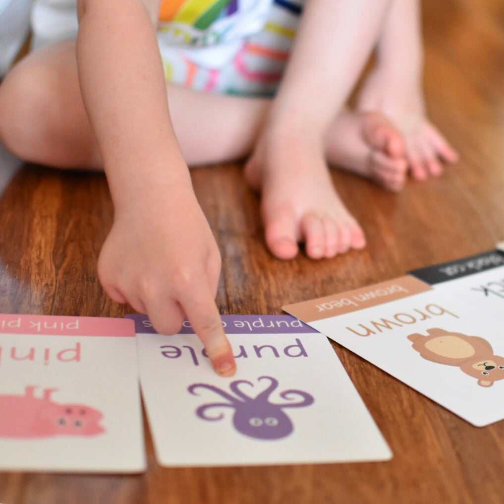 Animal Colours Toddler Flashcards-Little Boo Learning-A6,black,blue,Colours,Flashcards,green,normal,pink,purple,red,white,yellow