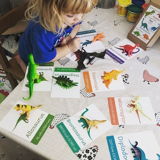 5 Dinosaur Themed Gifts for Less Than £25 for Those Little Dinosaur Fans