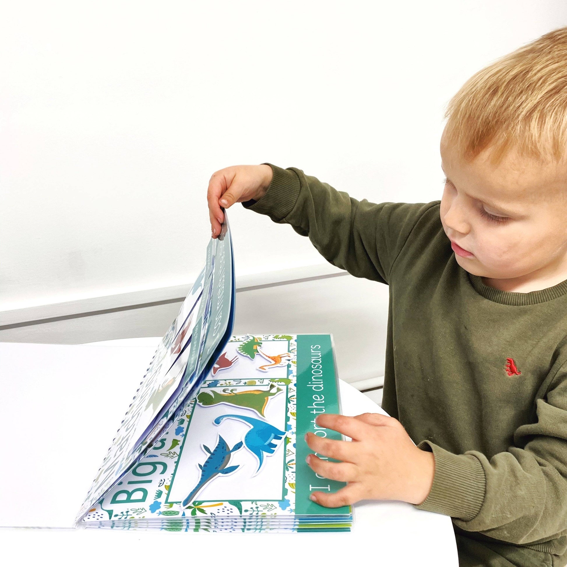 Dinosaur Pre-School Busy Book | Digital Download-Little Boo Learning-