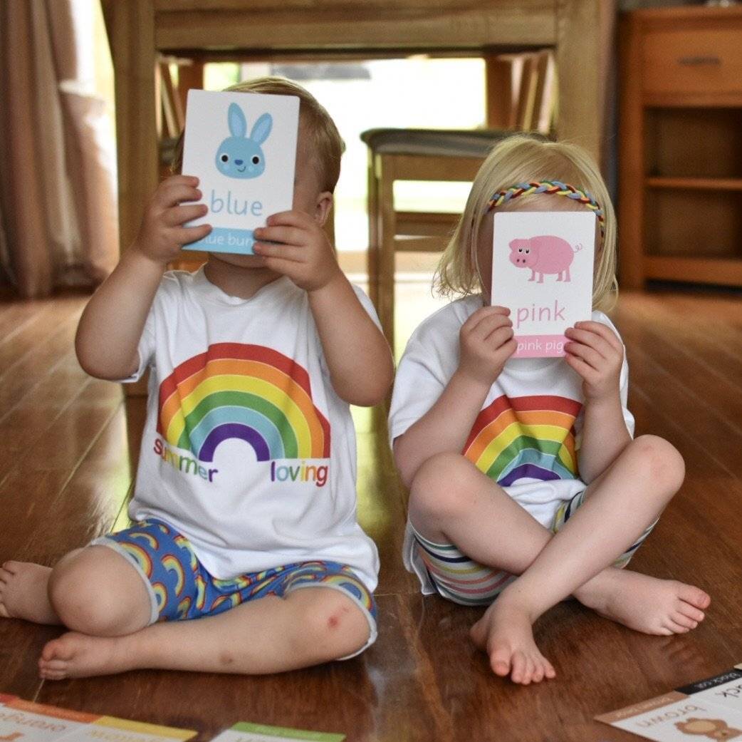 Animal Colour Flashcards | Digital Download-Little Boo Learning-Colours,Colours Flashcards,Flashcards,Montessori,normal
